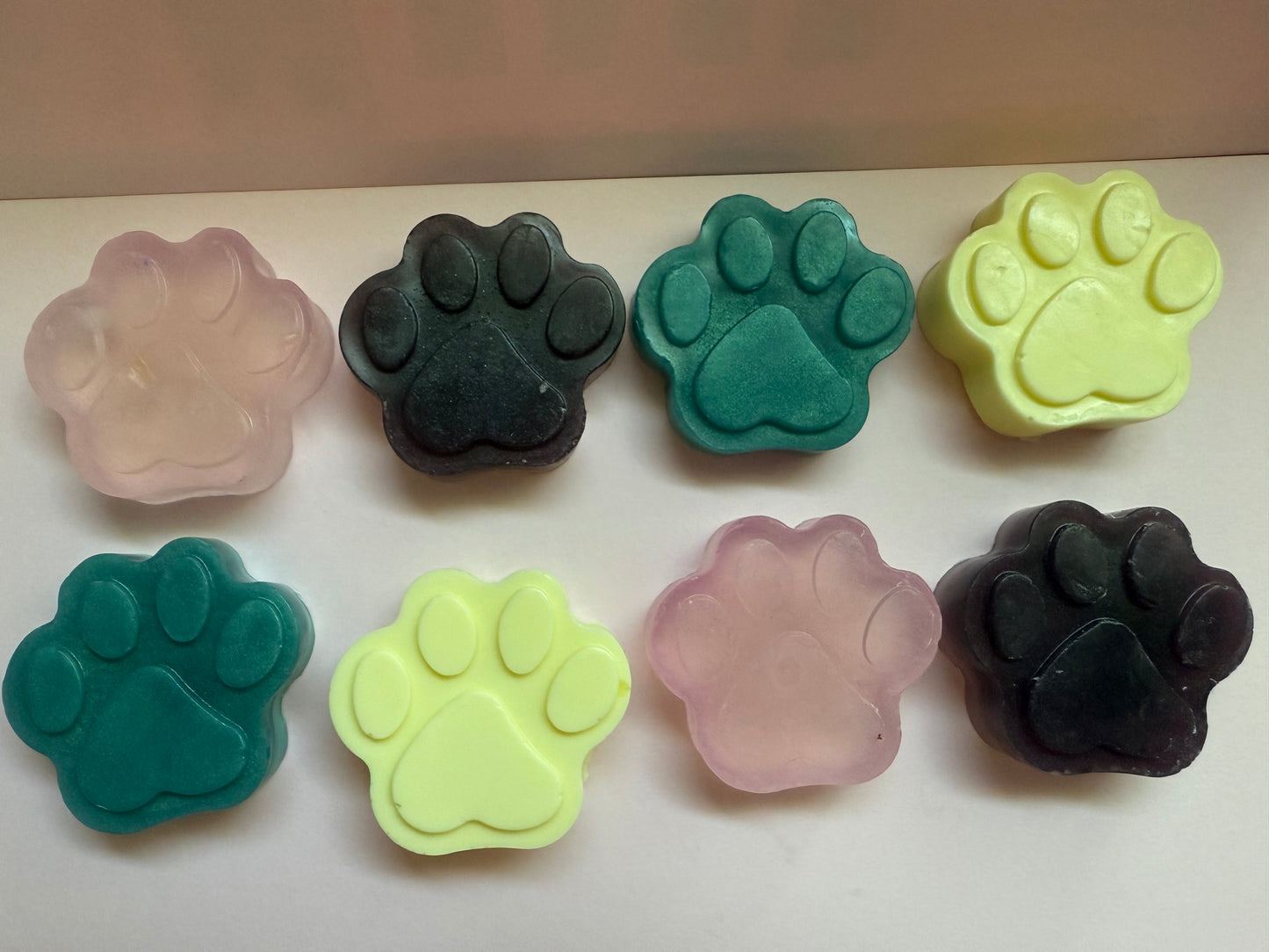 Soapy Paws 🐾