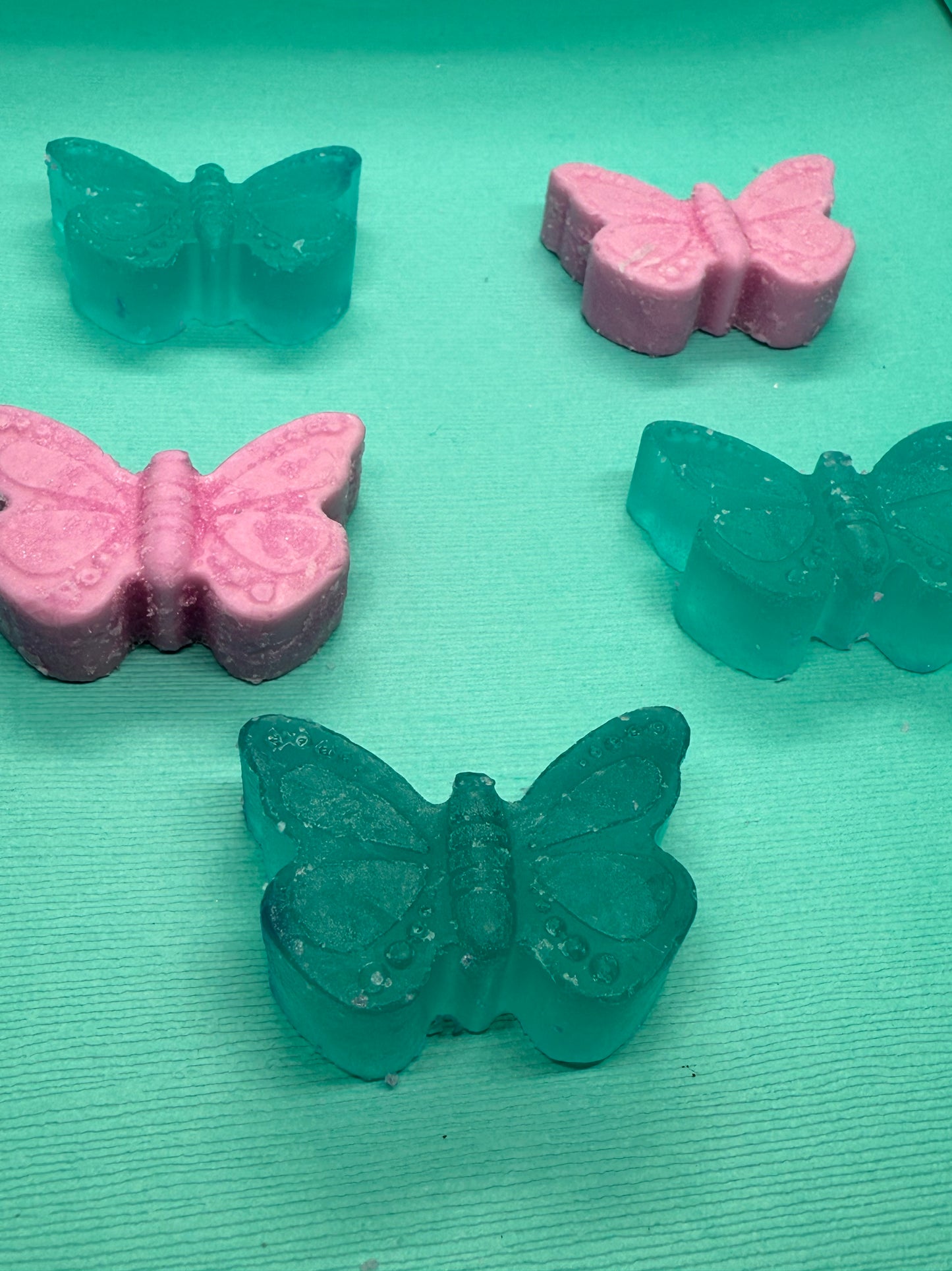 Butterfly Mini Collection 🦋