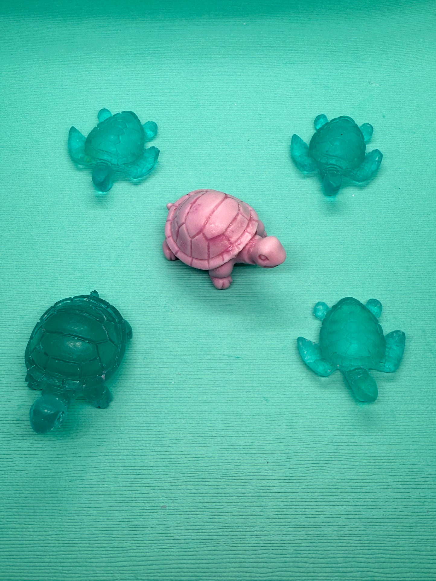 Mini Turtle Collection 🐢