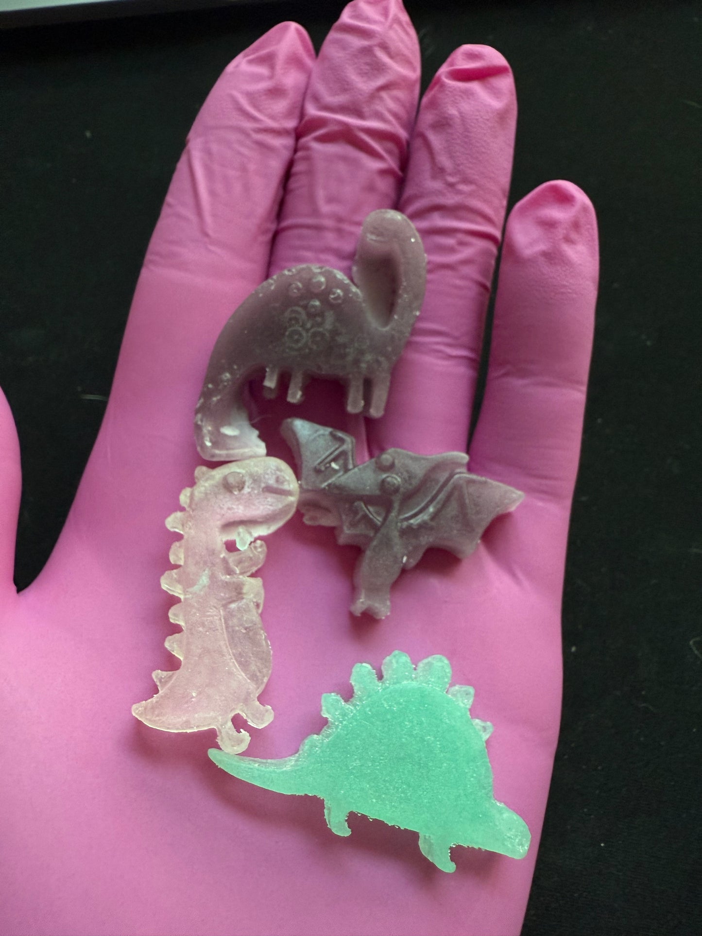 Mini Dino Collection 🦖 🦕