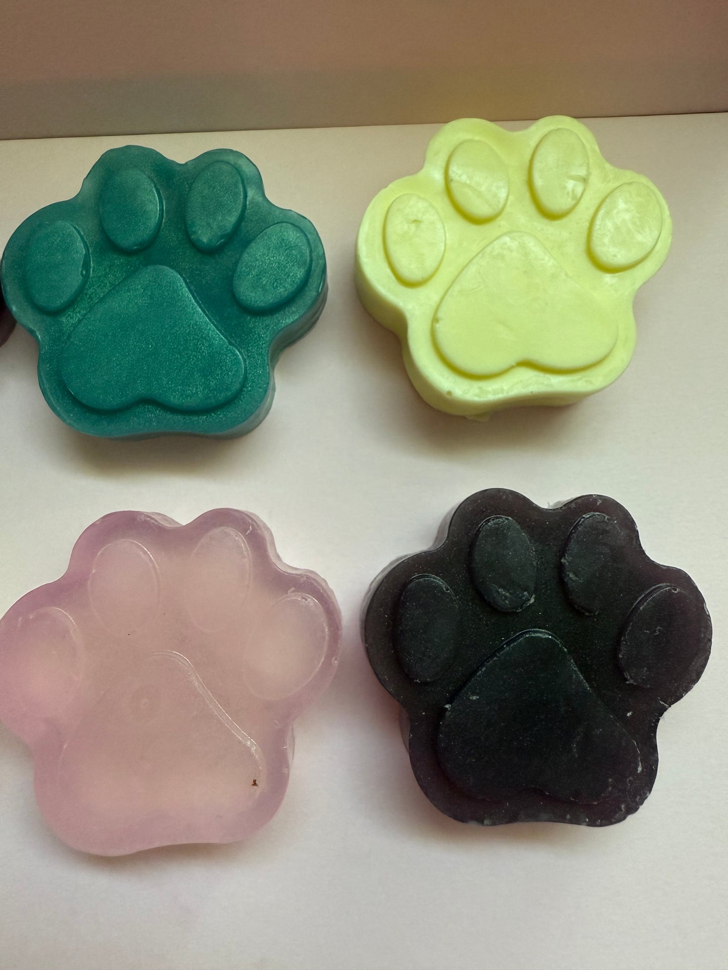 Soapy Paws 🐾