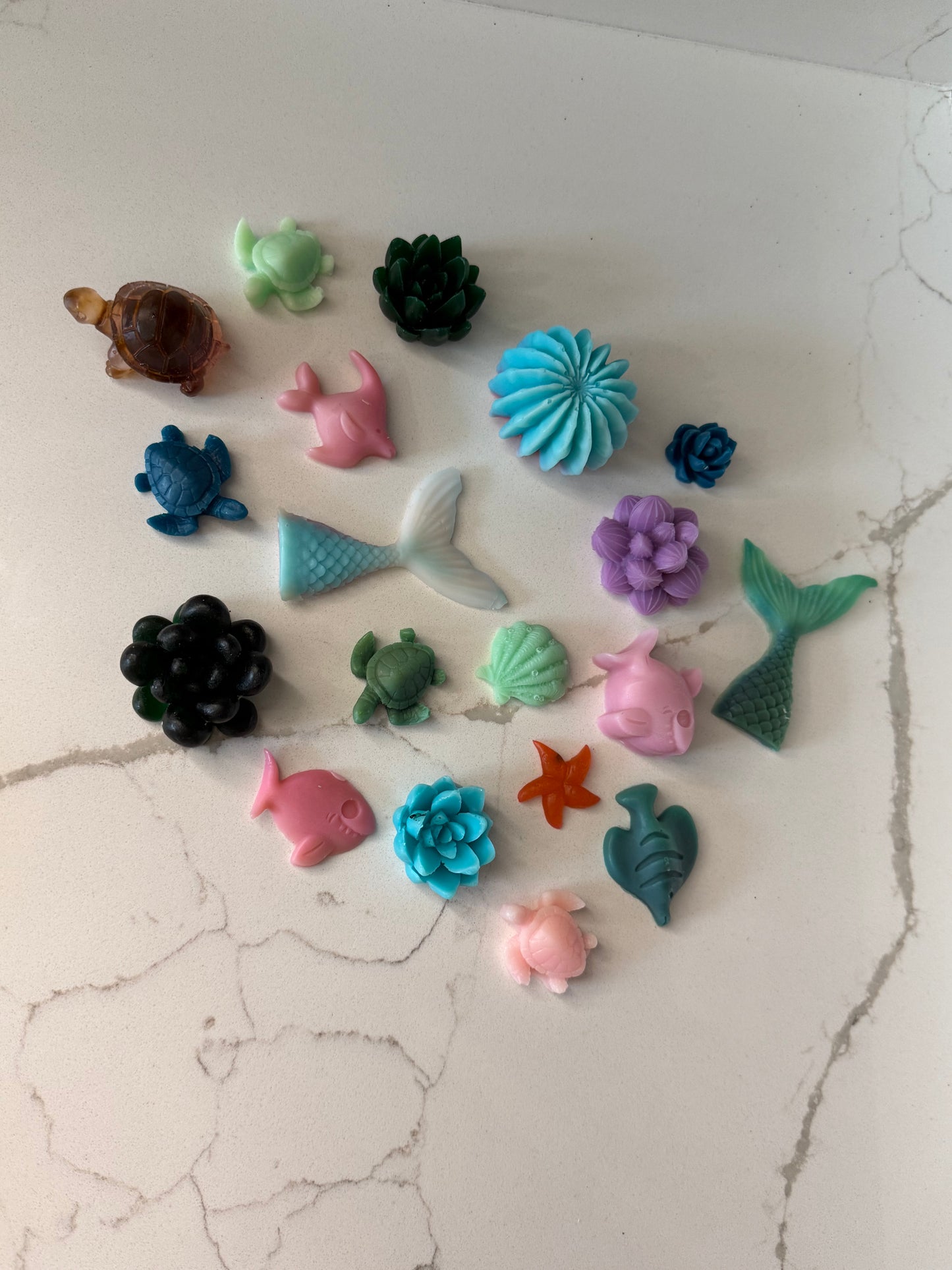 Mini Ocean collection