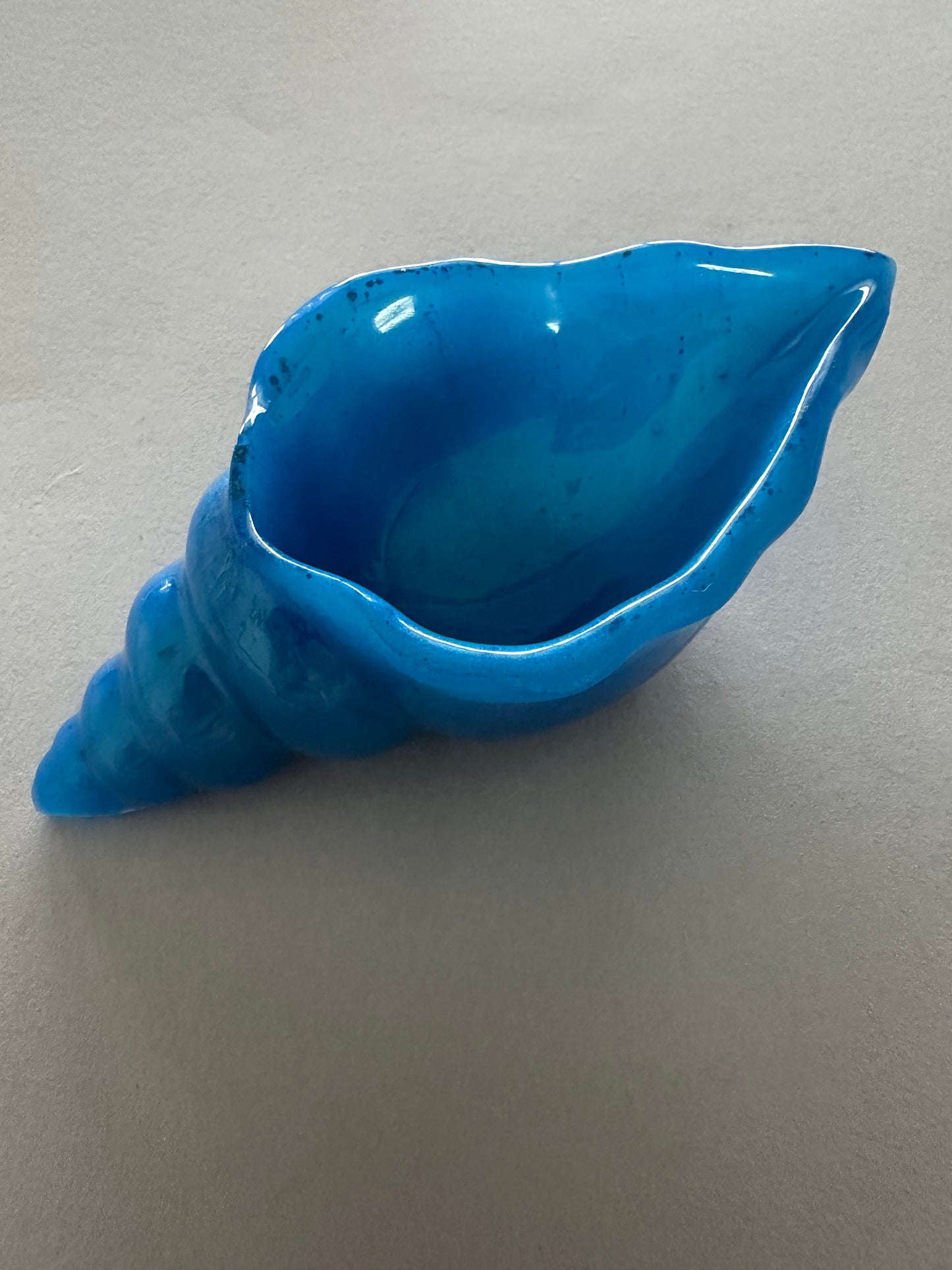 Coastal Charm Soap Dishes