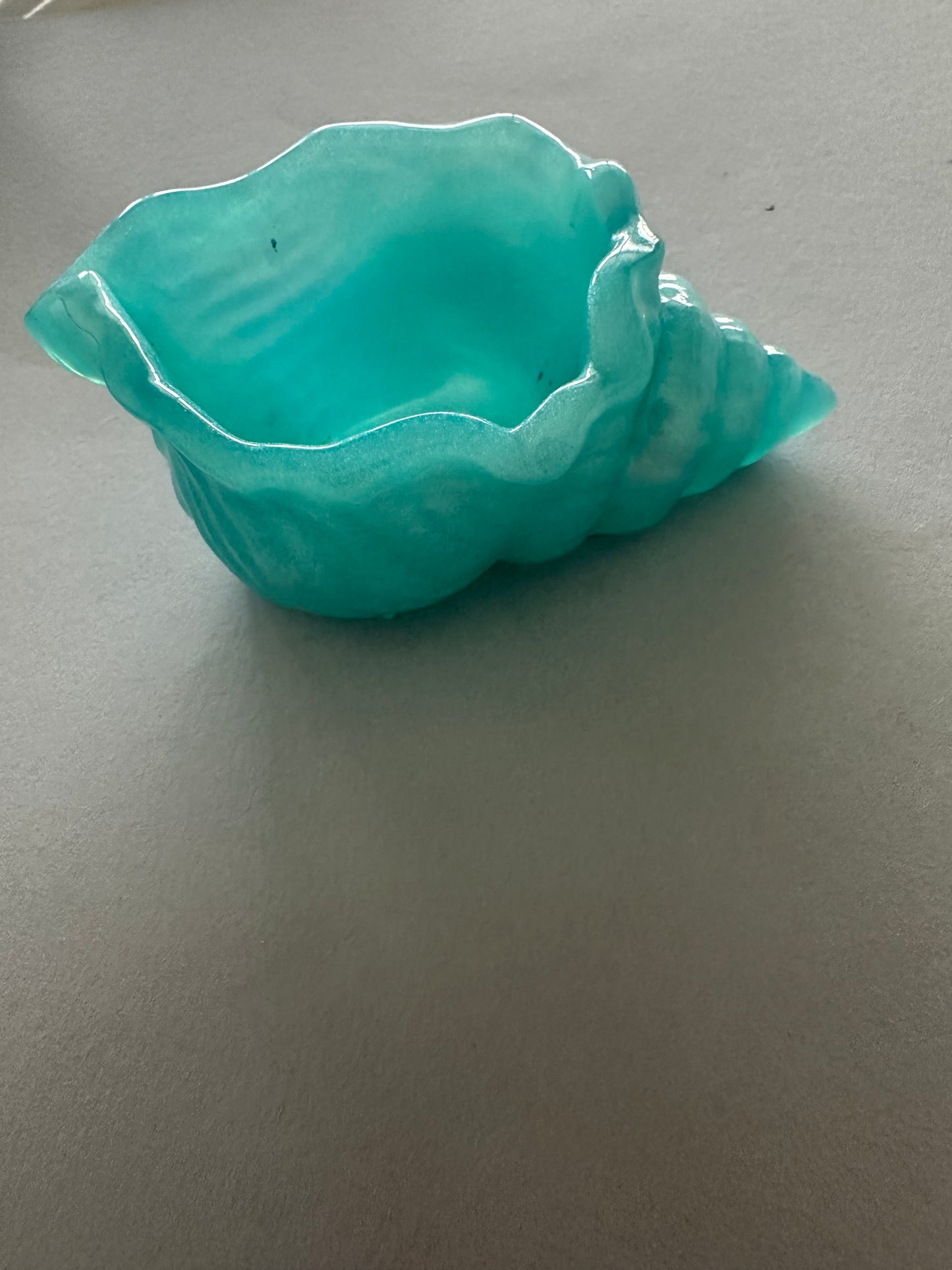 Coastal Charm Soap Dishes