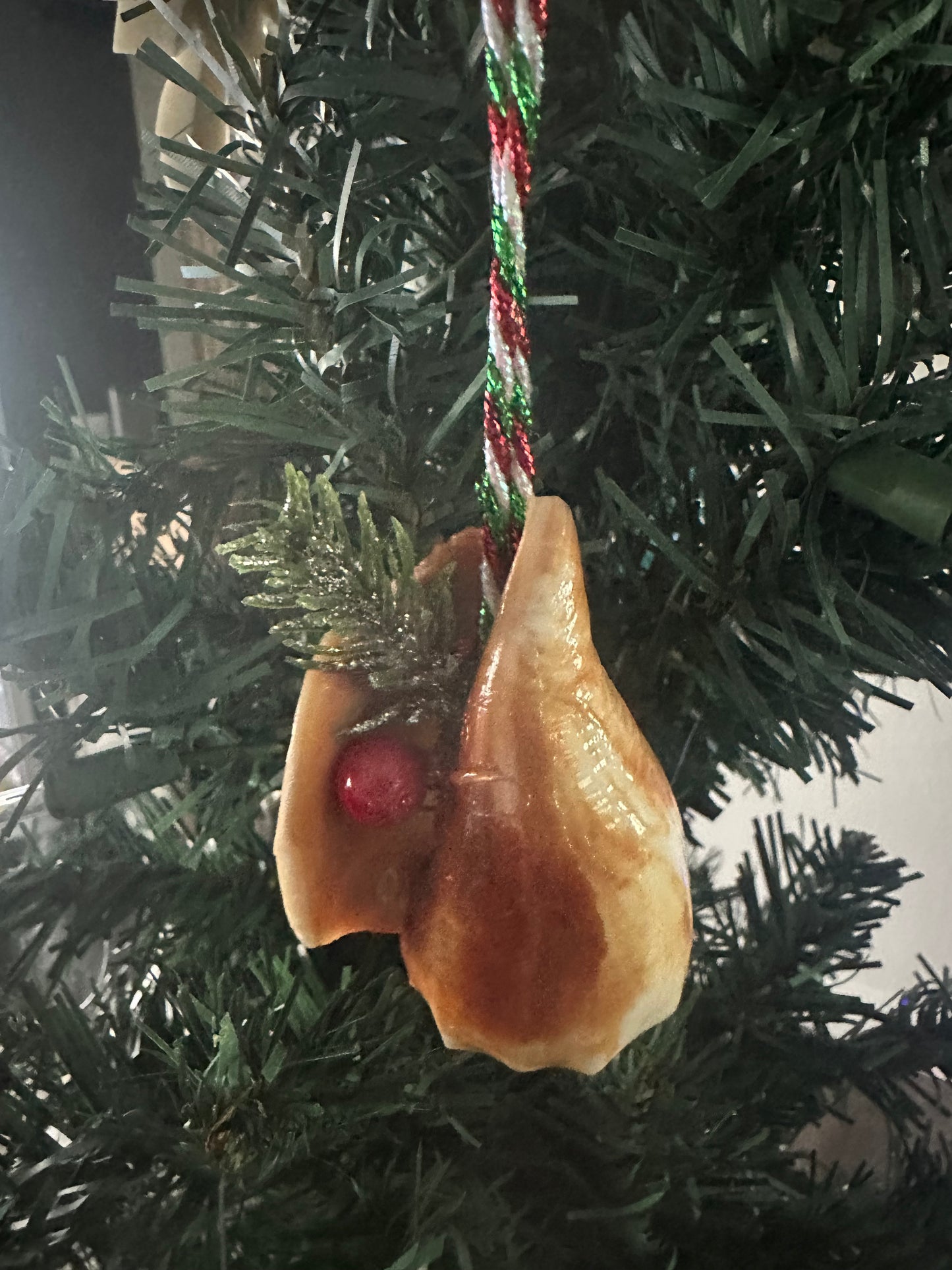 Coastal Christmas Seashell Ornaments with Red Berries, Green Pine Sprigs, Festive Ribbon Hangers, 3 Piece Set