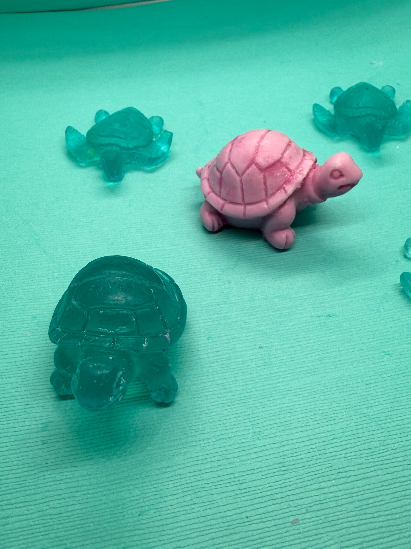 Mini Turtle Collection 🐢