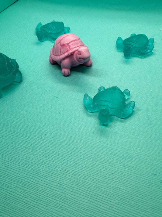 Mini Turtle Collection 🐢