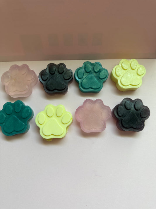 Soapy Paws 🐾