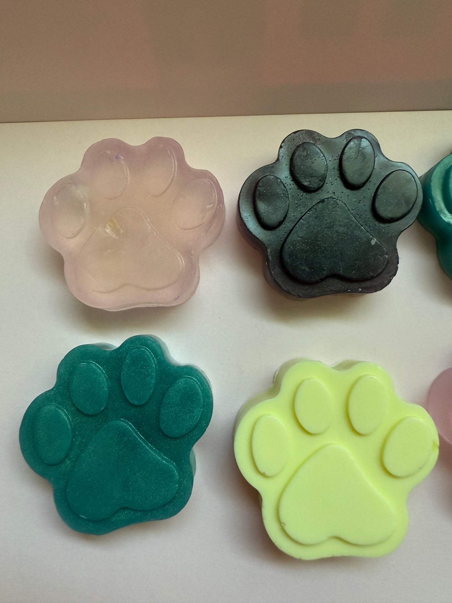 Soapy Paws 🐾