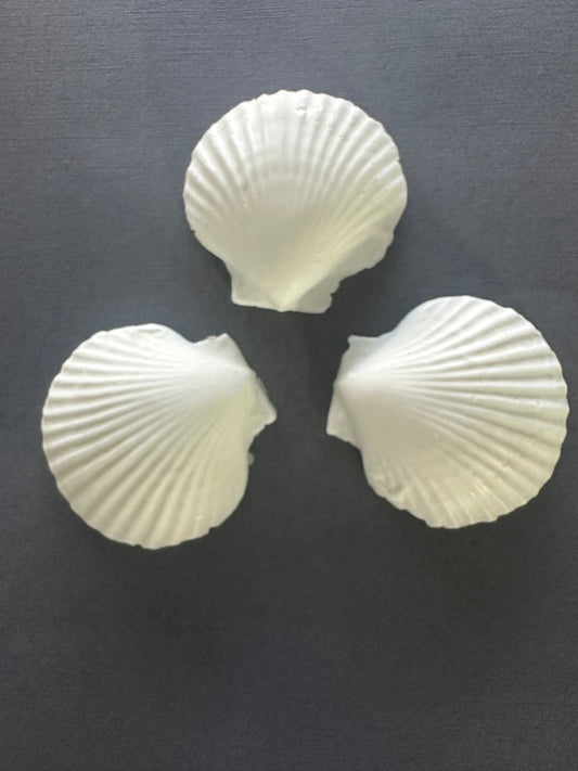 Decorative Seashell Soap Set White, 3-Piece Set, 3 inch Scallop Shells, Vanilla scented