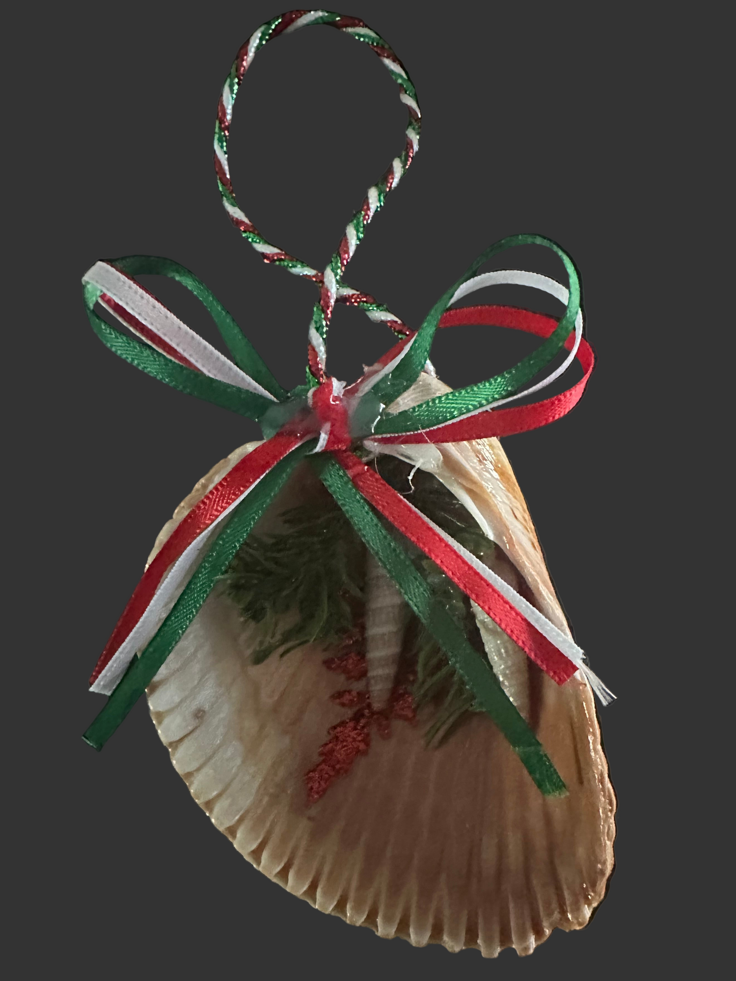 Christmas Tree Ornament Decoration, Red White Green Ribbon, Seashell, Traditional Holiday Decor